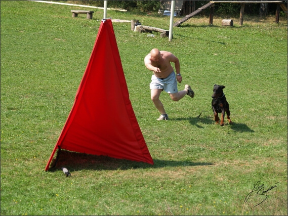 Summer training camp - Jelenec - 2007